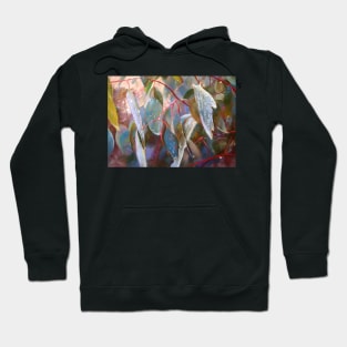 Drought Relief Hoodie